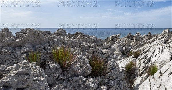 Rocks on the coast