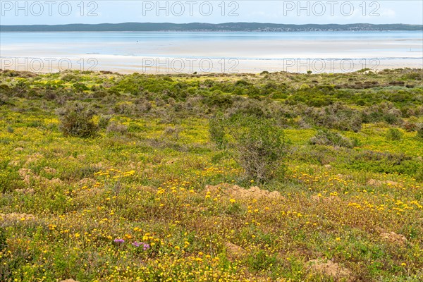 West Coast National Park