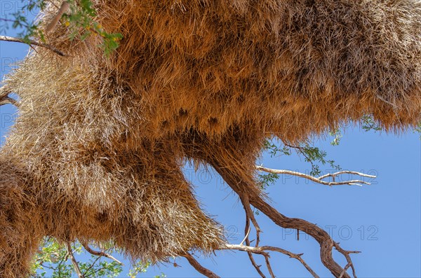 Kalahari Anib Lodge