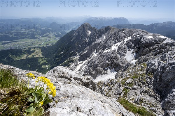Mountain landscape