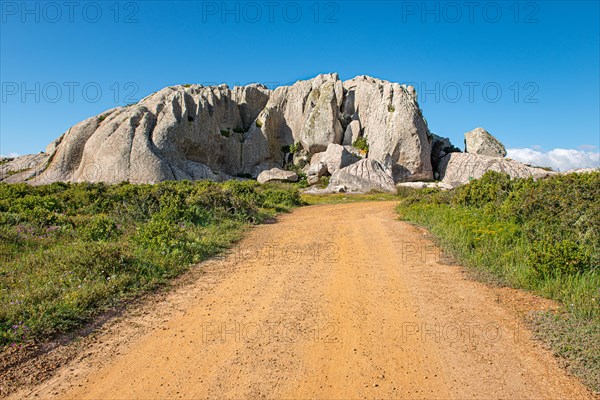 Postberg Section