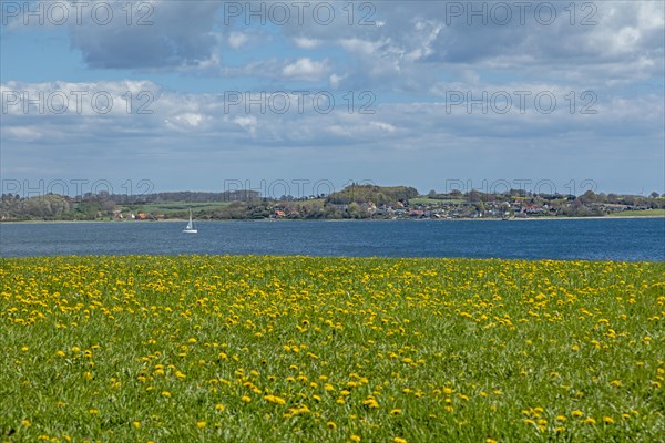 View of the Baltic Sea and Brunsnaes in Denmark