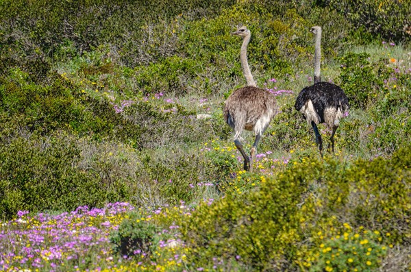 West Coast National Park