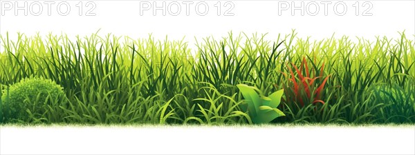 Seamless tileable row of fresh grass on a white background