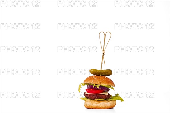 Single small vegetarian hamburger