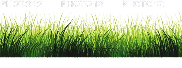 Seamless tileable row of fresh grass on a white background