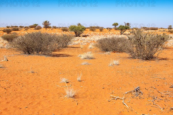 Kalahari Anib Lodge