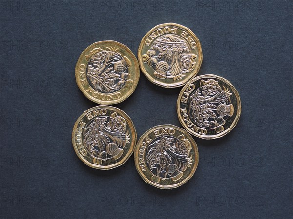1 pound coin