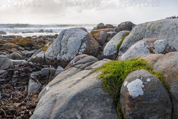 Mauritzbaai