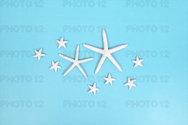 Different sized starfish on blue background