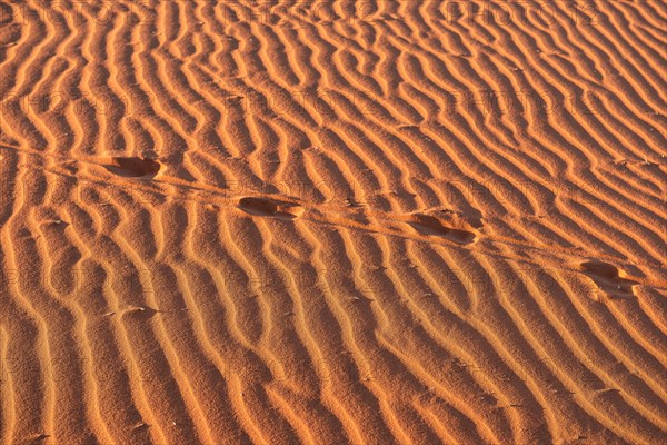 Kalahari Anib Lodge