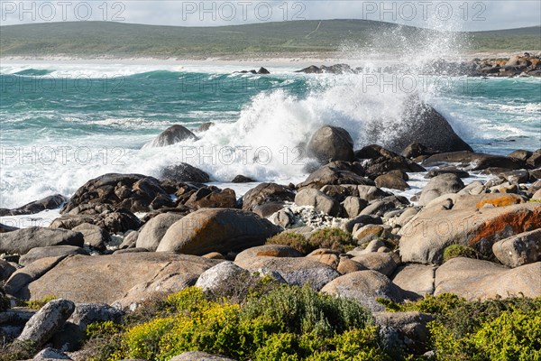 Plankiesbaai