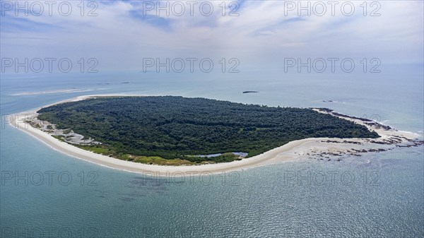 Aerial ofCavallo island