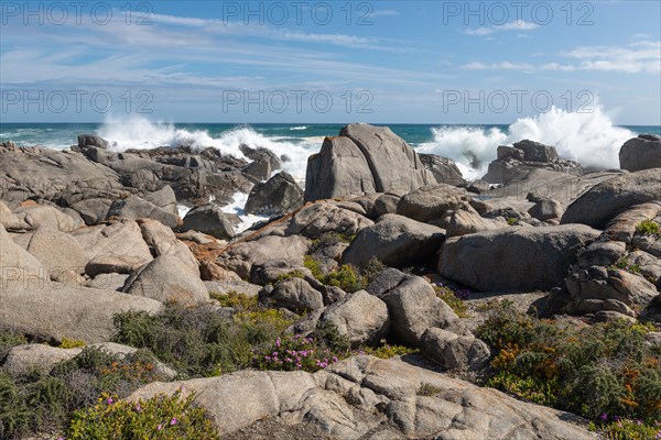 Plankiesbaai