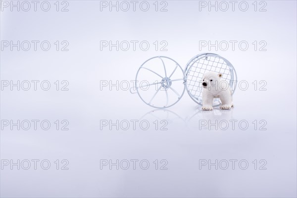 Polar bear cage open to freedom on white background