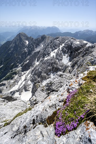 Mountain landscape
