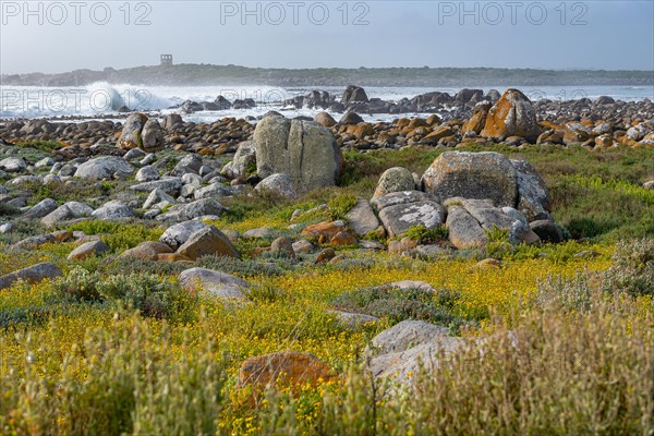 Mauritzbaai