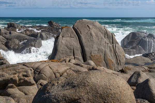 Plankiesbaai