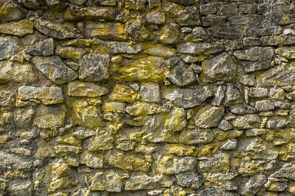 Historic town wall in the Dortelweil district