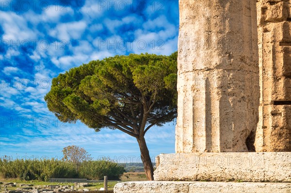 Columns of the Athenaion
