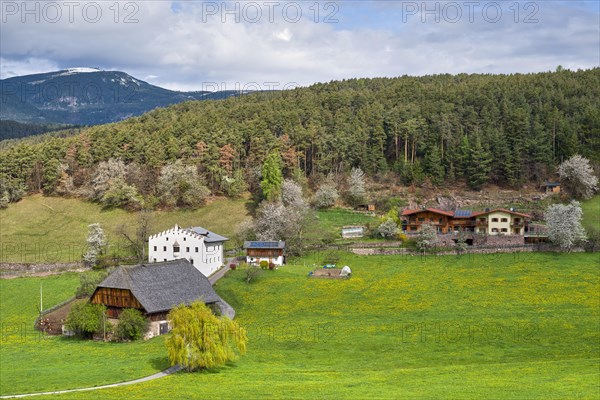 Castelrotto