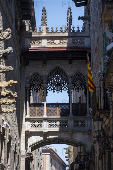 Artistic bridge between two buildings