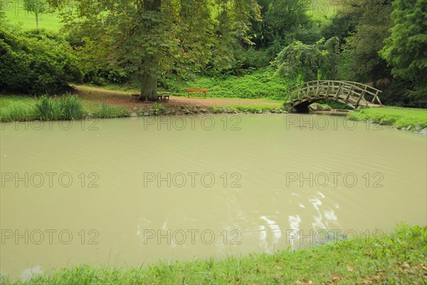 Pond with wooden bridge and arched bridge in the park