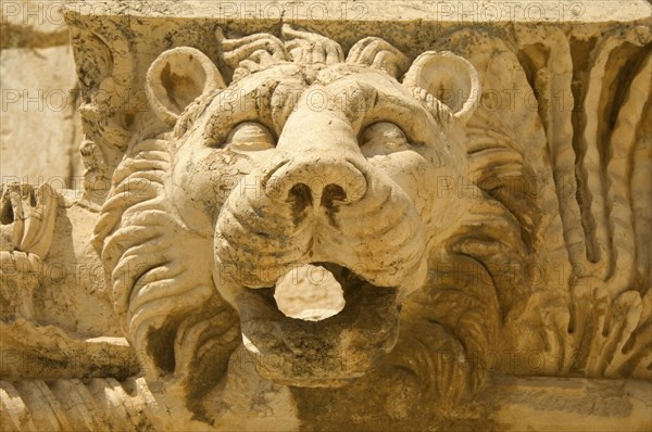 Lion Decoration in Baalbek