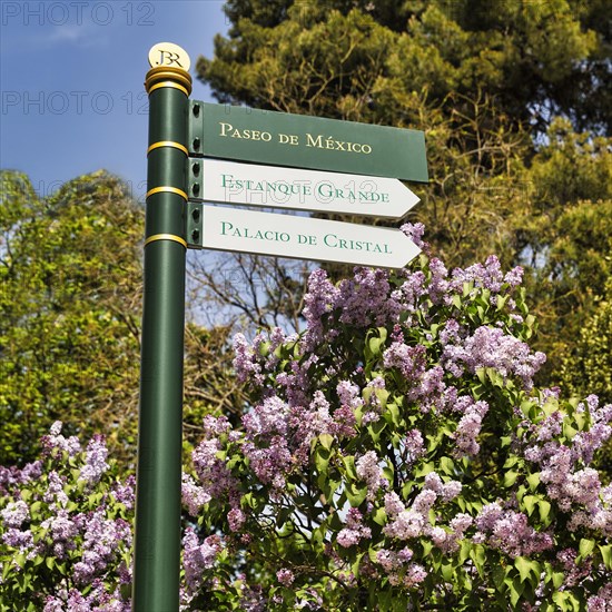 Signs in front of lilac bushes