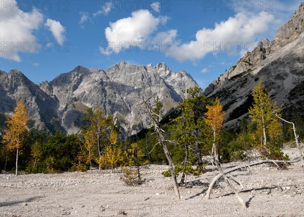 Autumn in Wimbachgries with a view of the Hochkalter
