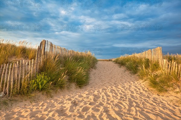 Evening atmosphere on the beach