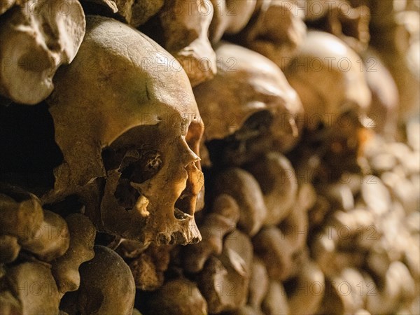 Human skulls and bones