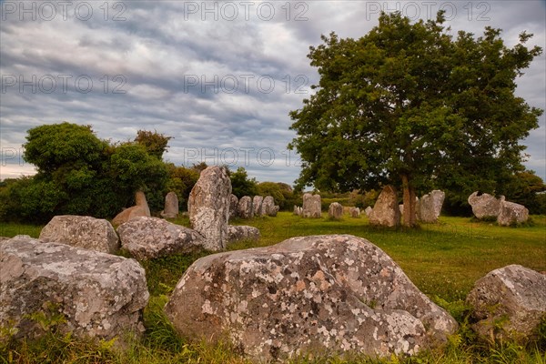 Megalithic stone rows from Kerzerho