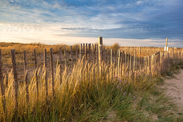 Evening atmosphere on the beach