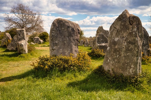 Megalithic stone rows from Kerzerho