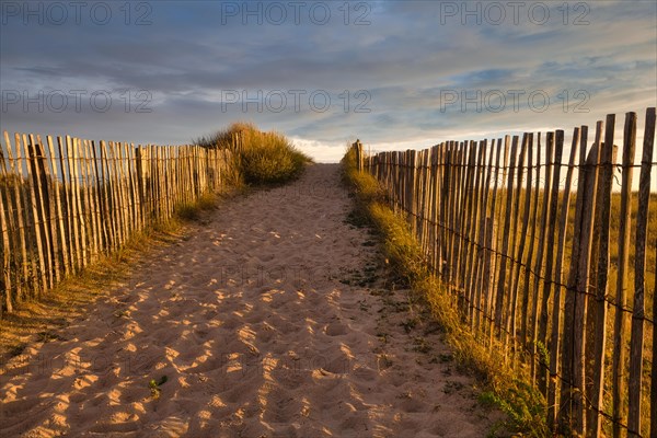 Evening atmosphere on the beach