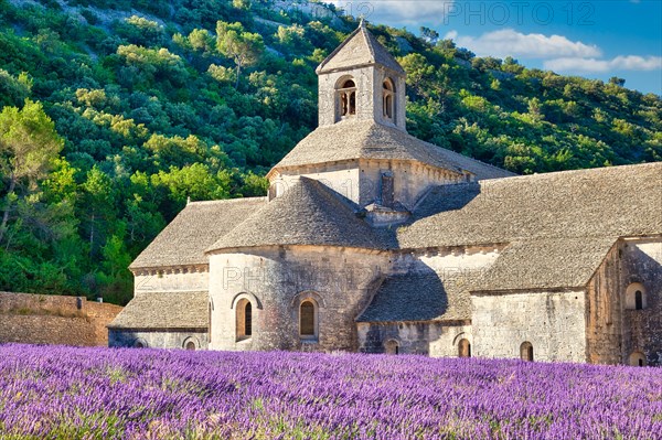 Cistercian Abbey Abbaye Notre-Dame de Senanque