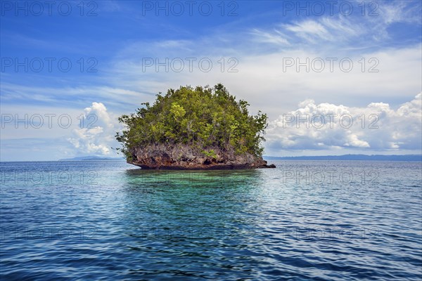 Wooded limestone islet in the Dampier Strait