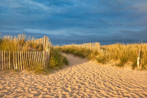 Evening atmosphere on the beach
