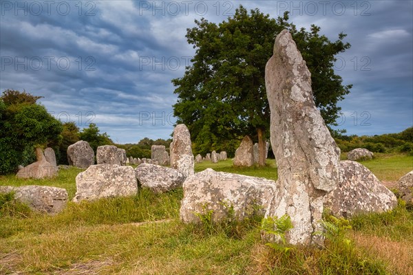 Megalithic stone rows from Kerzerho