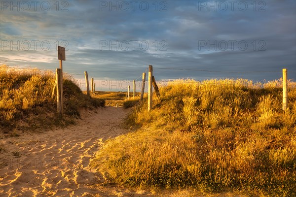Evening atmosphere on the beach