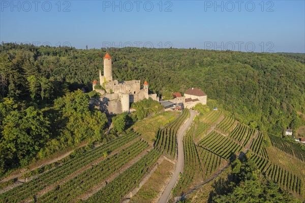 Hornberg Castle