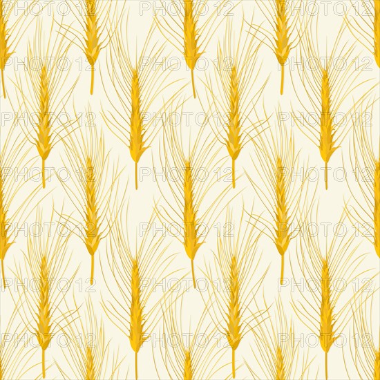 Wheat agricultural background. Seamless pattern vector illustration