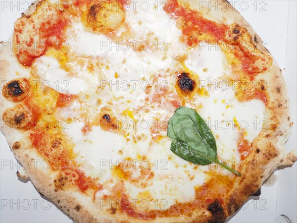 Margherita pizza food