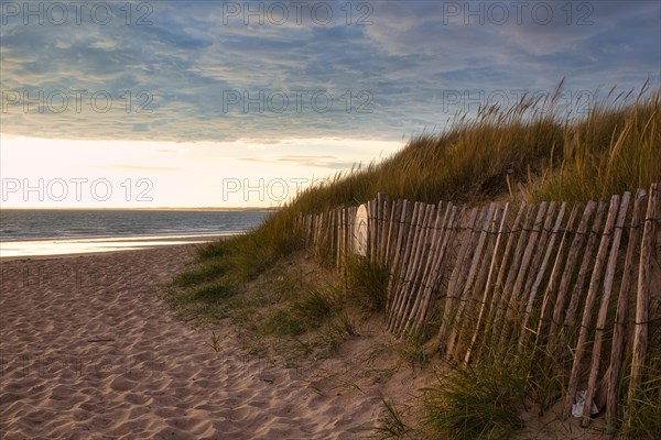 Evening atmosphere on the beach