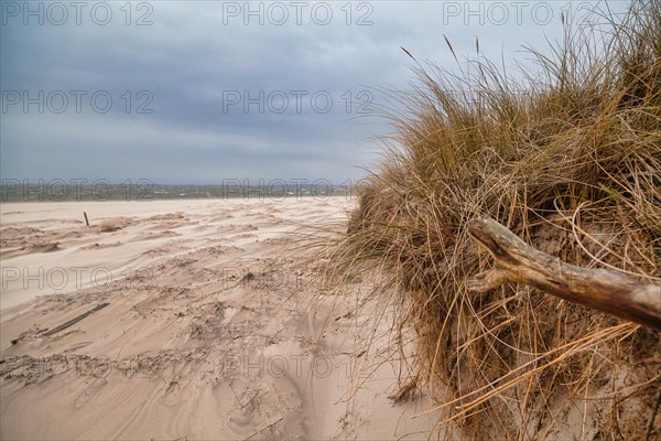 Beach near Hoernum