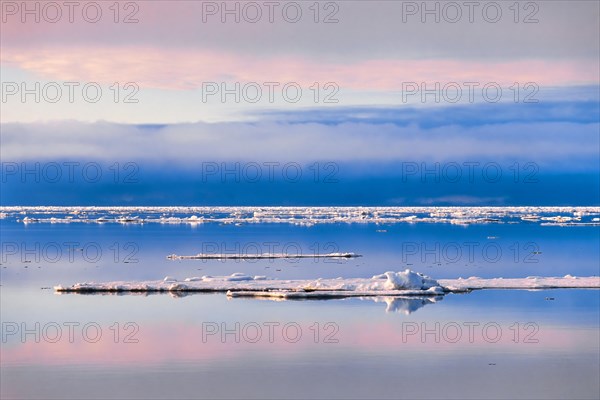 Ice floes on a calm arctic sea in beautiful light at the golden hour