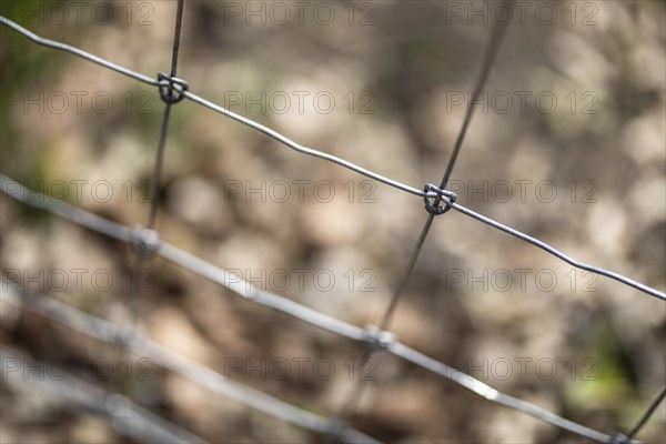 Protective fence against the spread of African swine fever