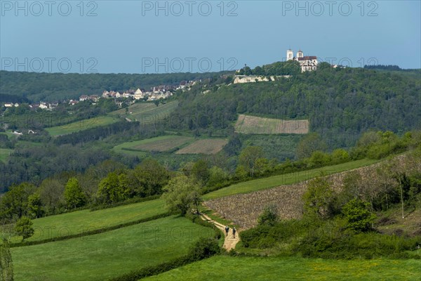 Vezelay labelled les Plus Beaux Villages de France. Unesco World heritage. Morvan regional natural park. Via Lemovicensis way to Santiago de Compostela. Yonne department. Bourgogne Franche Comte. Fran...