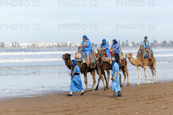 Tourists riding camels on beach dressed in blue Bedouin robes
